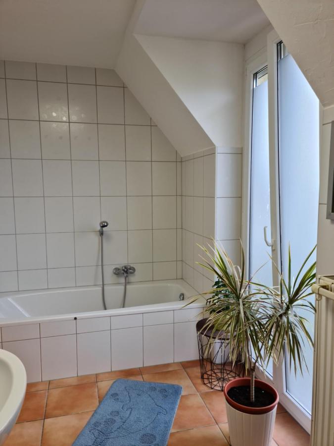 Lichtdurchflutetes Zimmer - Mainwiesen Waldbuttelbrunn Exterior foto