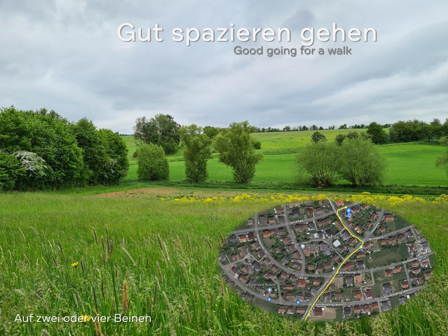 Lichtdurchflutetes Zimmer - Mainwiesen Waldbuttelbrunn Exterior foto